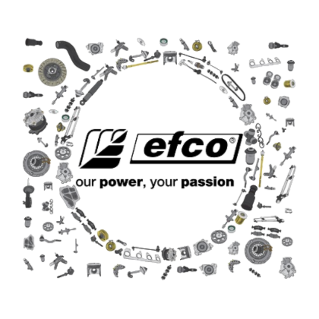 Picture for category Efco Spare Parts