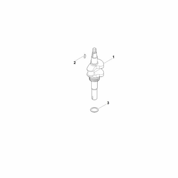 Picture of D - Crankshaft EVC 200.3 (EVC200-0007)