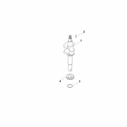 Picture of D - Crankshaft EVC 300.0 E (EVC300-0002)
