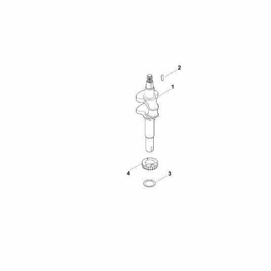 Picture of D - Crankshaft EVC 300.0 E (EVC300-0002)