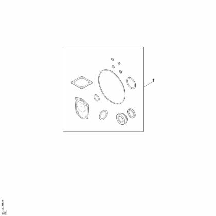 Picture of C - Set of gaskets WP 300.0