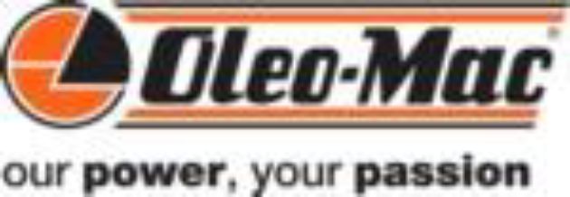 Picture for category E 170 F Electricsaw