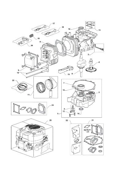 Motor assy OM 101C/16K H Cat.2012 Garden tractor