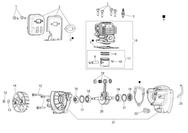 Engine HCS 247 P Hedgetrimmer