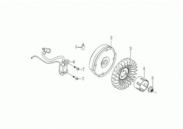 Flywheel and coil MOTORE K800 H (EURO 5) Engine K800 H (EURO 5)
