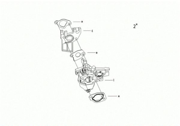 Carburetor MOTORE K800 H (EURO 5) Engine K800 H (EURO 5)