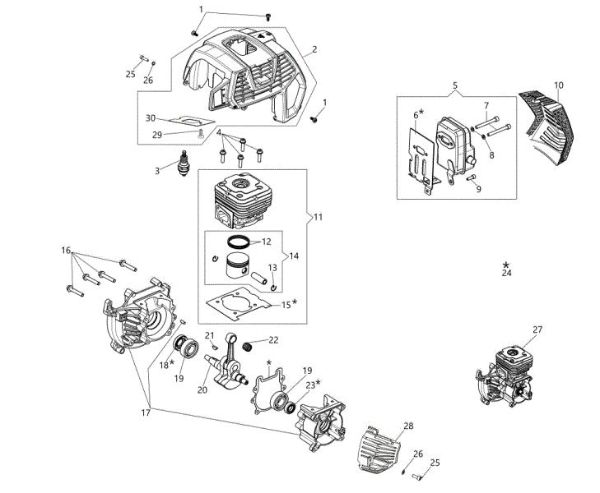 Engine BCH 50 T Brushcutter