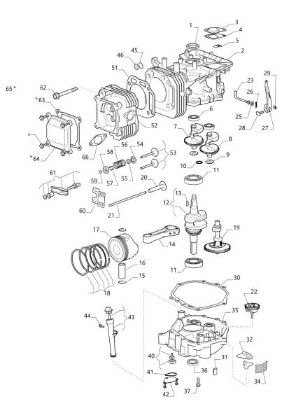 Motor assy OM 84/14,5 K H Cat. 2022 Garden tractor