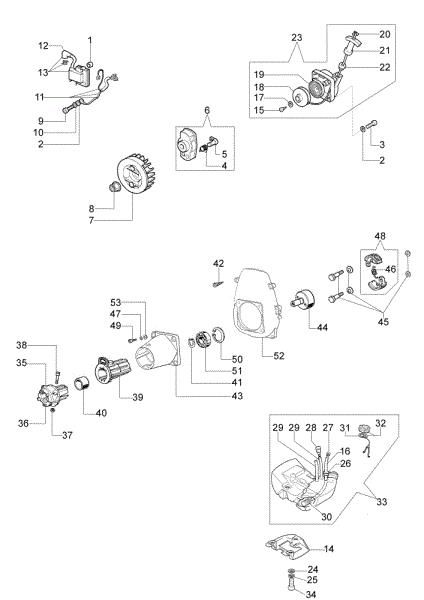 Starter assy and fuel tank PPX 250 Pole pruner