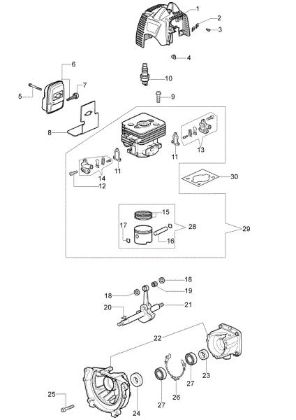 Engine BC 250 T Brushcutter
