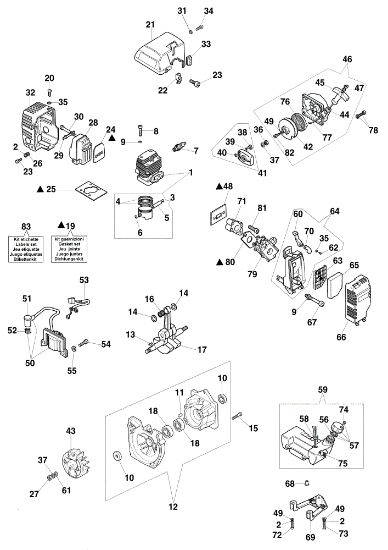 Engine assy CR 74 Tea pruner