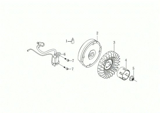 Flywheel and coil MOTORE K800 H (EURO 5) Engine K800H(EURO 5)
